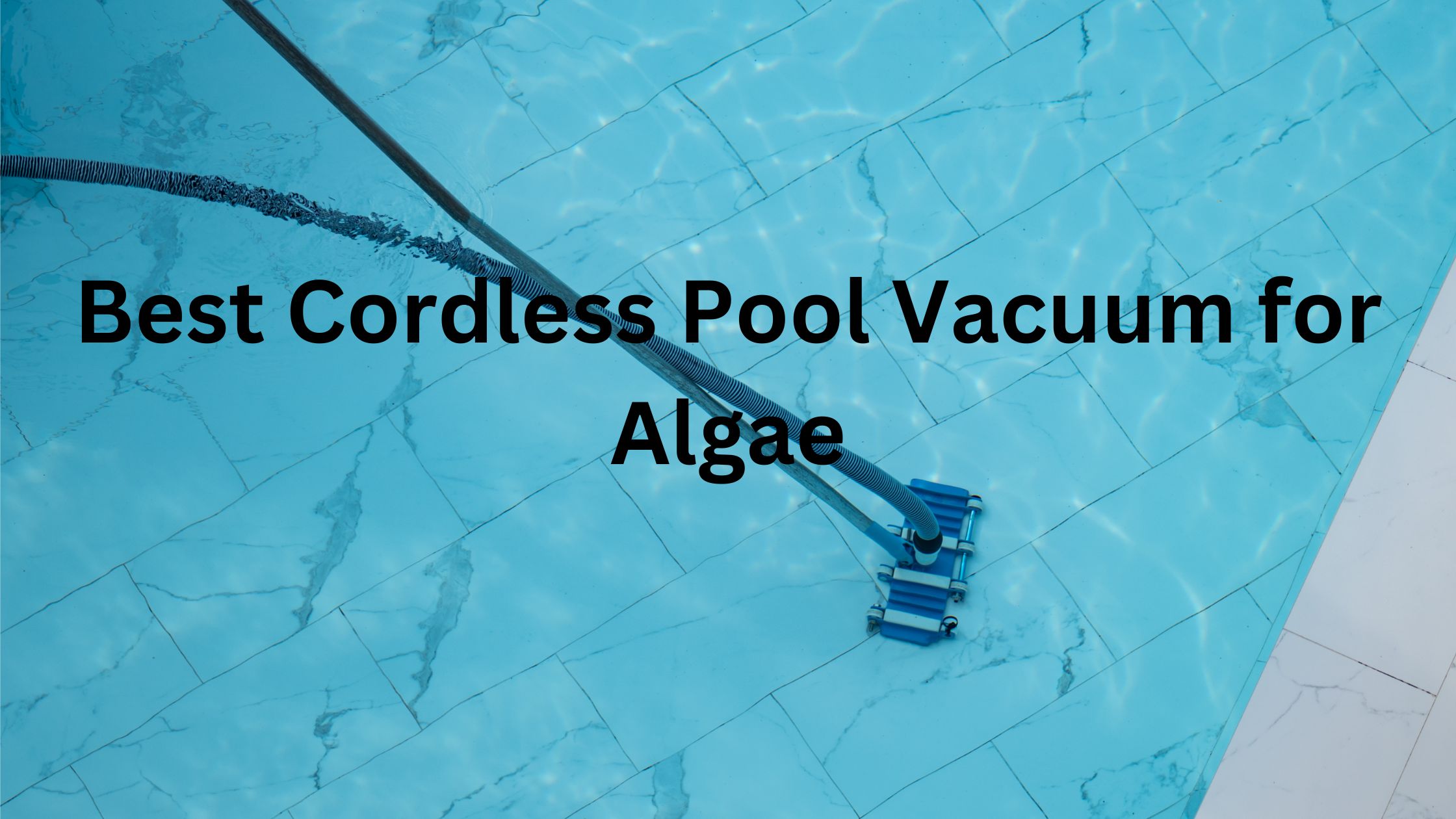 Best Cordless Pool Vacuum for Algae