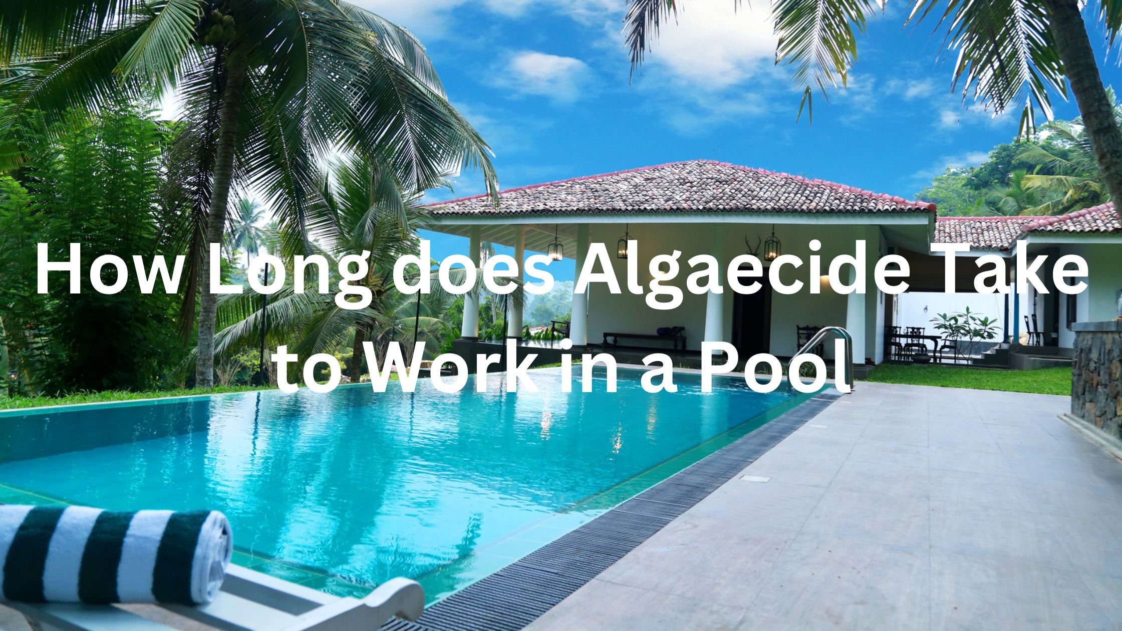 How Long does Algaecide Take to Work in a Pool