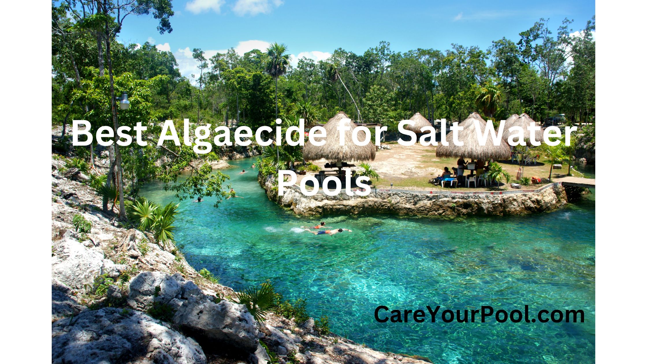 Best Algaecide for Salt Water Pools