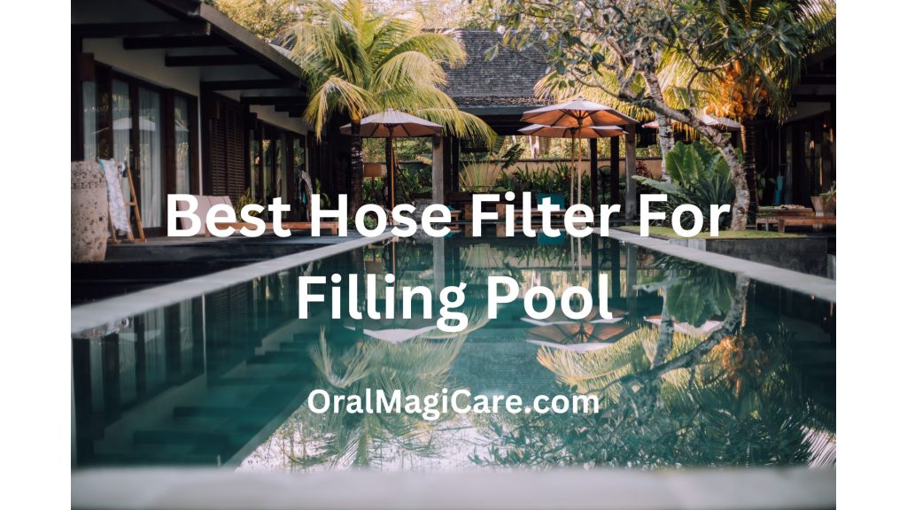 Choosing The Best Hose Filter For Filling Pool An In Depth Guide   Best Hose Filter For Filling Pool 1024x576 